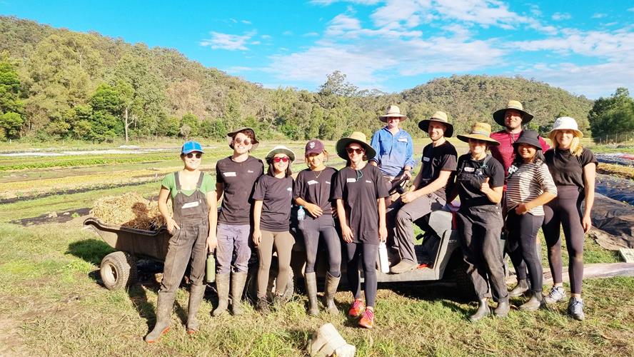 Canva group volunteering at Hebron Farm
