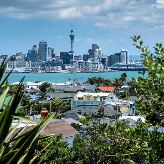 The Auckland harbour skyline on a clear day.